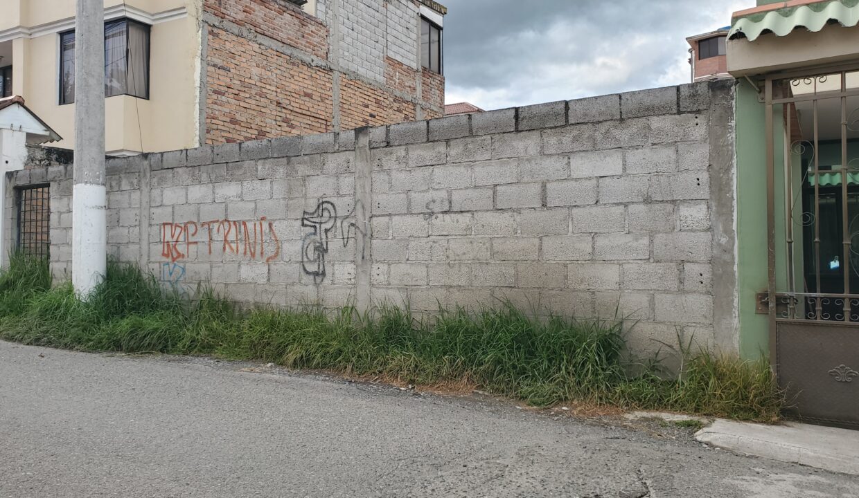 20250214_173033