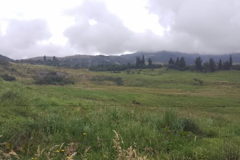 WhatsApp Image 2026-05-16 at 11.02.35 AM